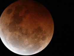 space-pics:  One of the very few blood moon photos I took tonight (east coast of Australia)http://space-pics.tumblr.com/