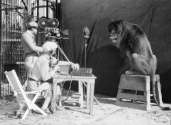 jessehimself:  The recording of the MGM Lion.