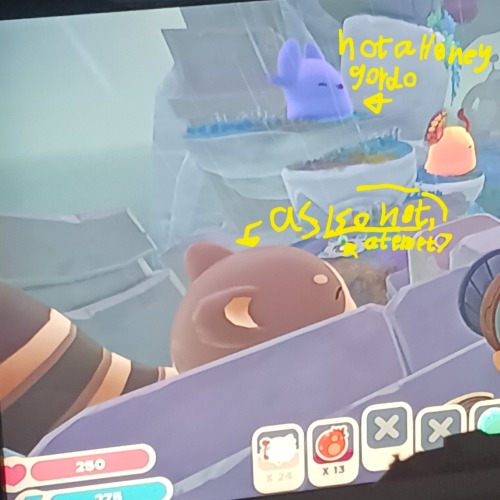 Sigh, That's- That's Not A Honey Gordo :(