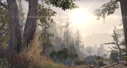 North of Stormhaven, the forested fringes of Wrothgar rise to scrublands and tundra. Here, the swell