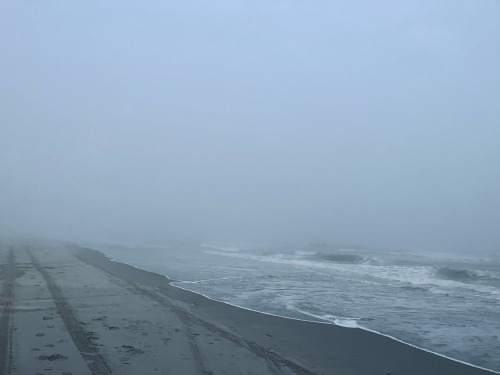 Last Night. A Thick Fog Fell Onto The Beach And The Surrounding Areas. I Was Getting Phone Calls Telling