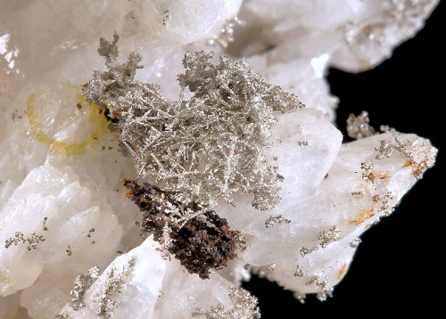 fuckyeahmineralogy: Native Silver on Cerussite; Bunker Hill Mine, Kellogg, Idaho