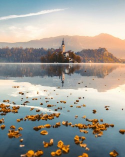 dreamingofgoingthere:Bled,Slovenia