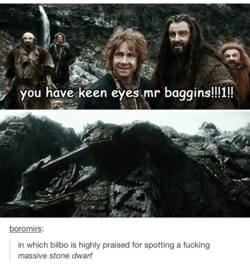 frei-rancken:ameninadocachecolvermelho:justaheartbrokenfangirl:Tumblr+The Lord of the Rings@frei-ran