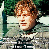 ianmckellen:  lotr meme: nine characters (5/9) → Samwise Gamgee &ldquo;You’ve