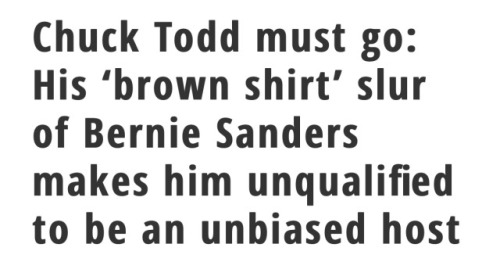 odinsblog: “NAZI BROWNSHIRTS” - THAT’S WHAT CHUCK TODD