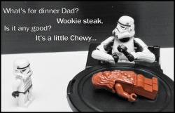 shamosjunkyard:  Wookie steak is a little