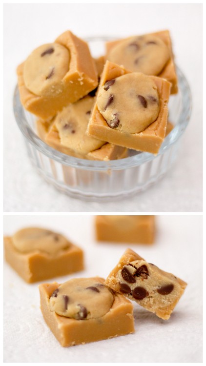DIY Cookie Dough Fudge Recipe and Tutorial from Kitchen Mason.The ingredient list is in the metric s