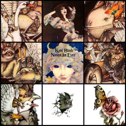 Kate Bush Album/Era Art: 1978-2011.