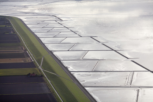 The Wadden SeaNorden, Germany 2012© Alex S. MacLean / Landslides Aerial Photography / al