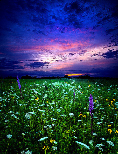 Amathest by Phil~Koch on Flickr.