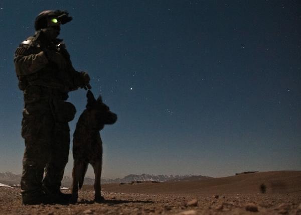 majorleagueinfidel:  War Dogs serving in Afghanistan – 2007-2012. 