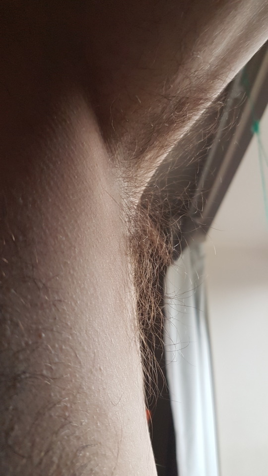 tumblr photo littleotter4hairyman 18