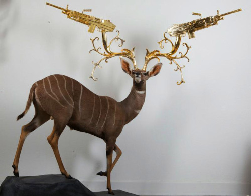 asylum-art-2:   Peter Peter Gronquist’s Taxidermy Gun Antlers  Peter Gronquist makes the  unlikely combination of taxidermy and symbols of power and luxury.  Taking the traditional forms of taxidermy, Peter creates gold and silver  antlers for the stuffed