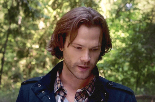 League of Sam Winchester Admirers
