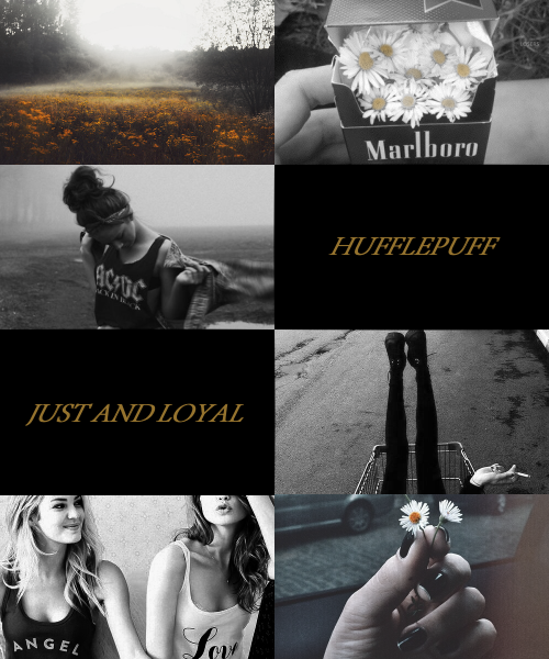 egdramaqueen: HUFFLEPUFF–where they are just and loyal. Those patient Hufflepuffs are true and unafr