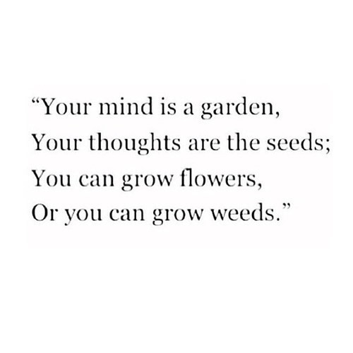 iglovequotes:  Daily dose of love quotes here