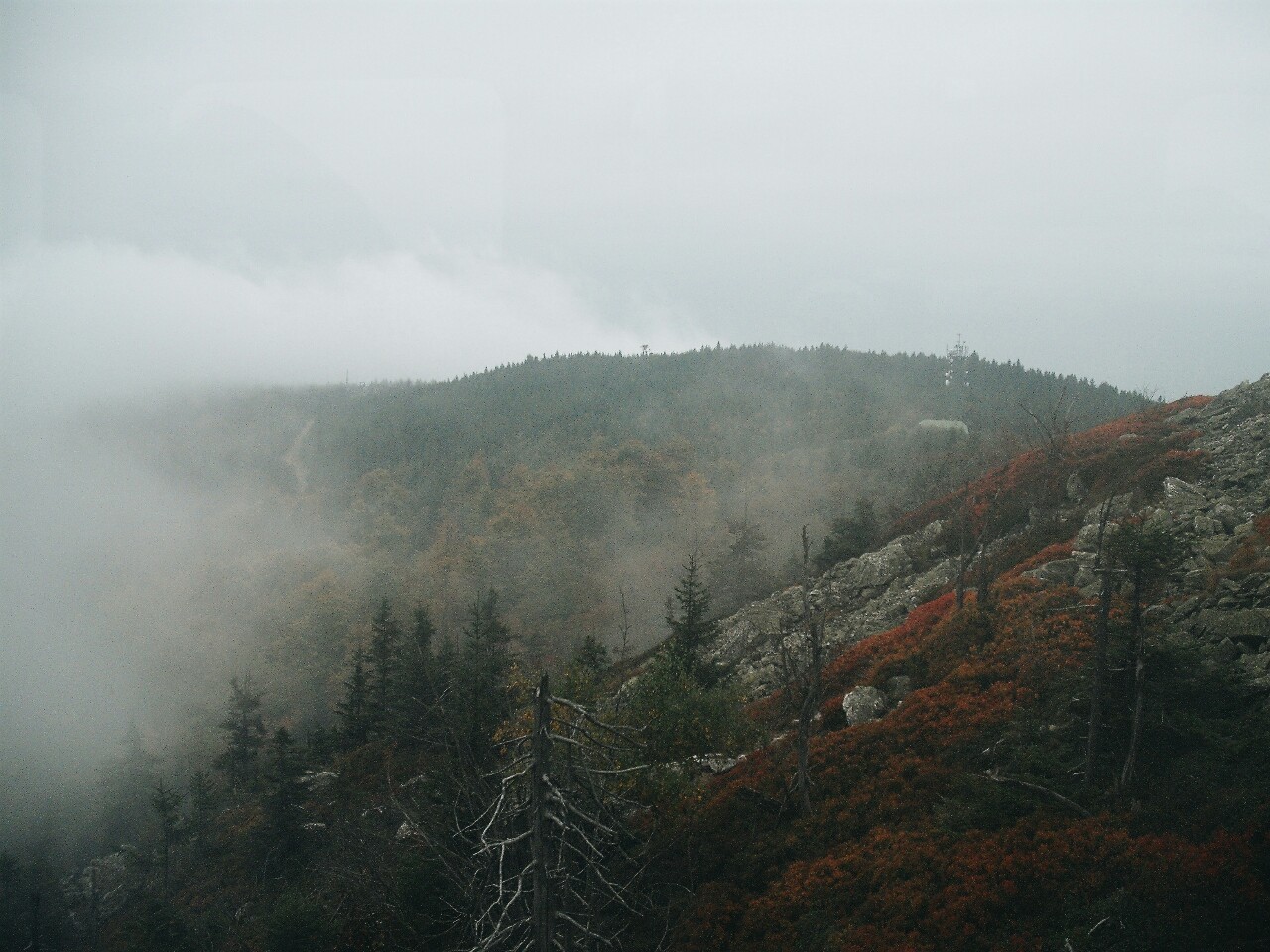 like-the-deep-blue-sea:  Zittauer Gebirge