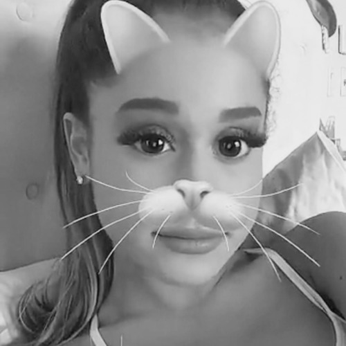 ariana grande icon