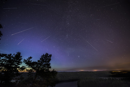 XXX astronomyblog:  What is a meteor shower? photo