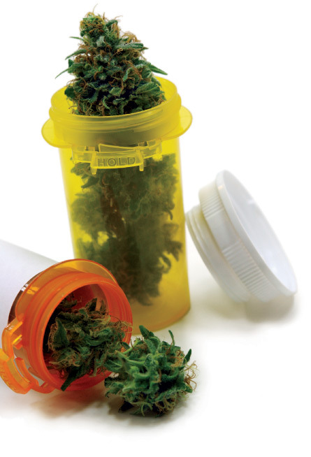 Into A Stoner's Mind!
