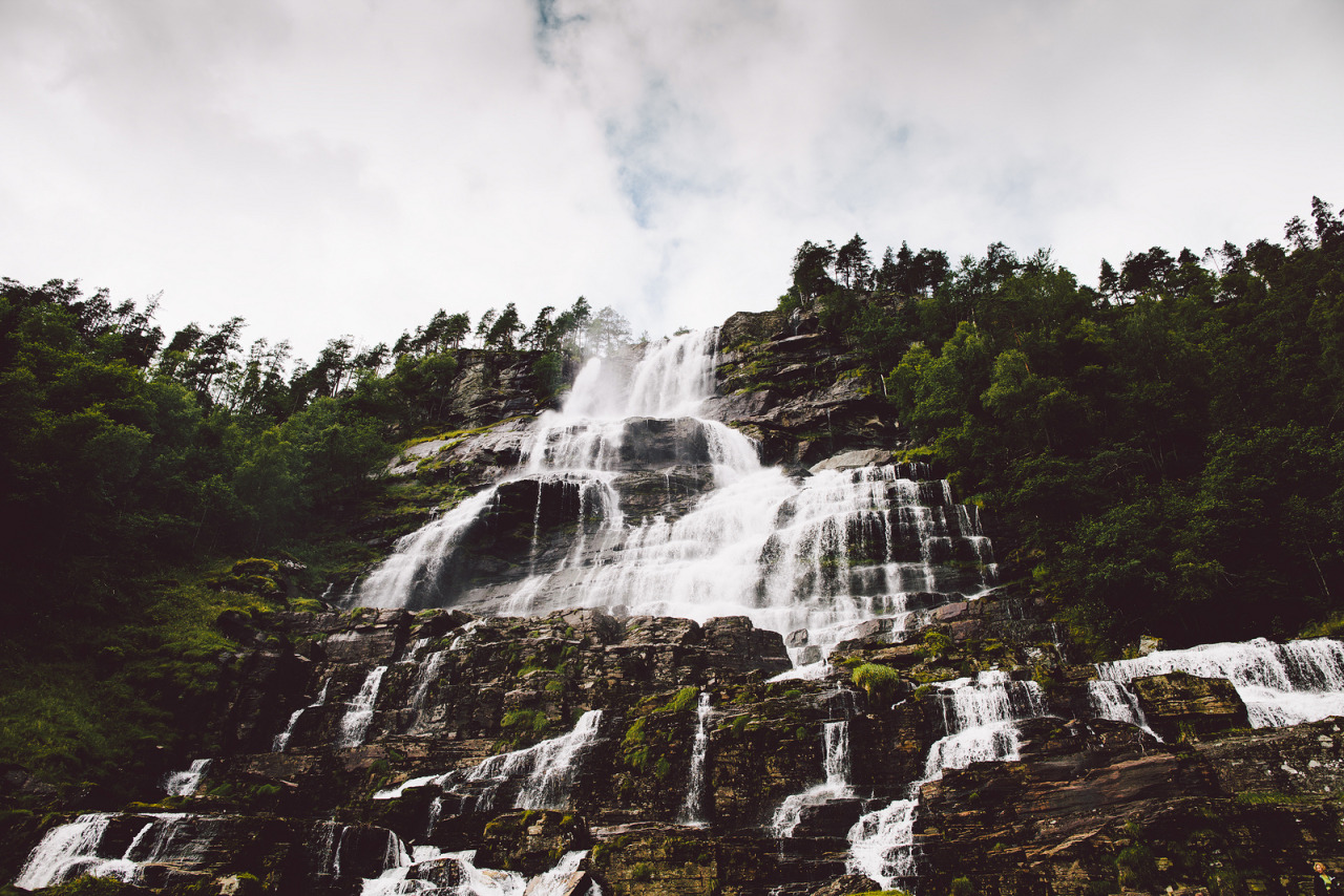 atraversso:  Sun, Trees and Love  by Daniel Fuchs 