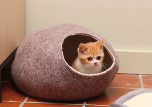 (via kivikis.com- felt cat caves )(website) (kivikis on Etsy)