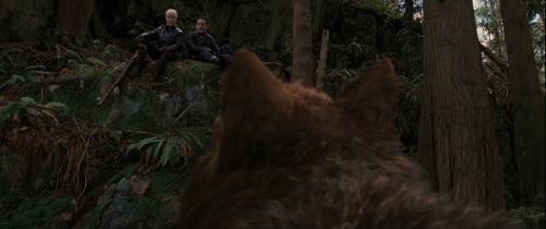 The Romanian Coven's Firstappearence In "Breaking Dawn Part 2".