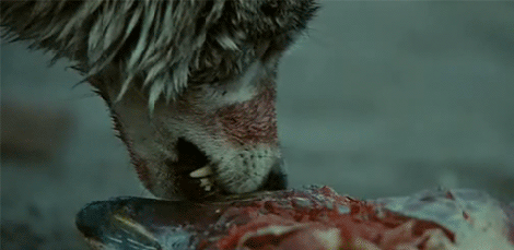 Deathowler's howls