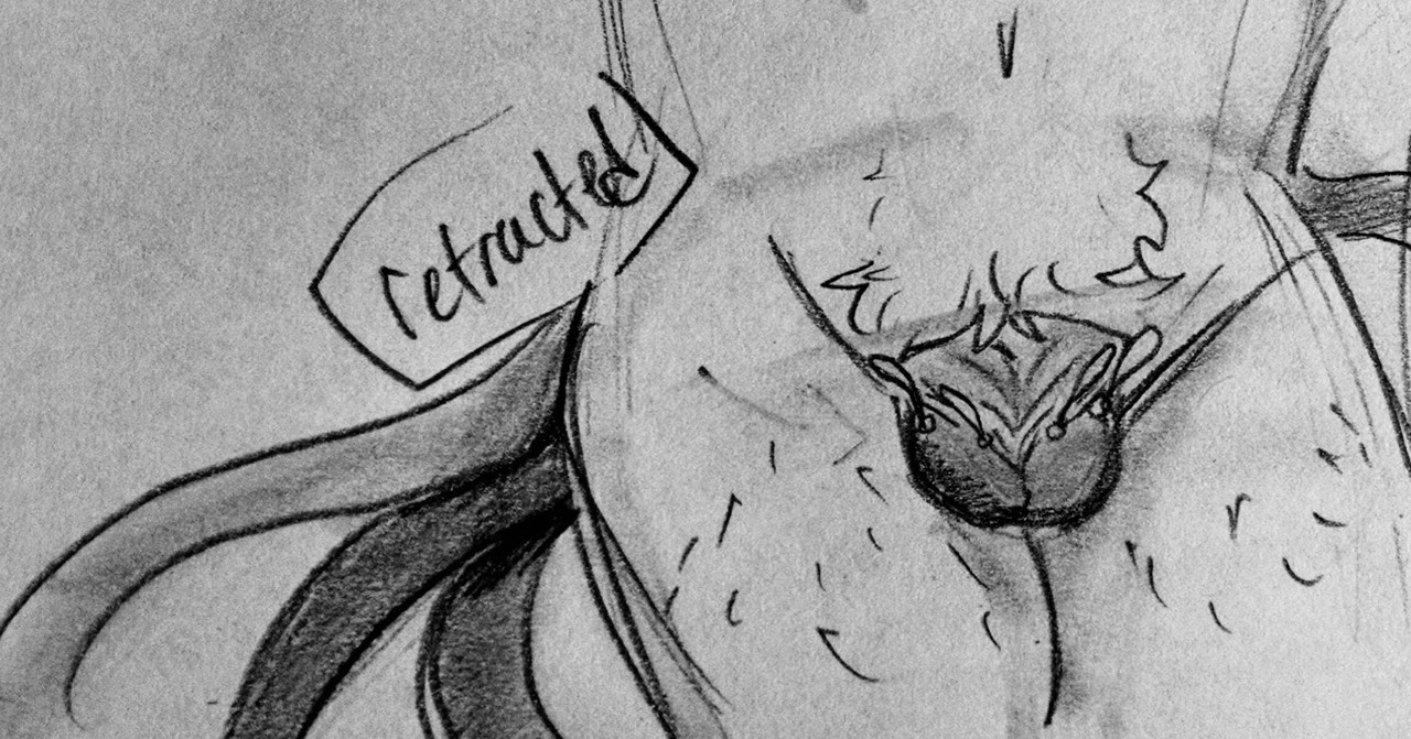 notsafeforroskii:  I got BORED.