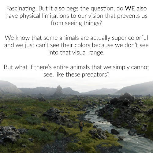I read this study by @universityofbristol that used ai to model vision in different types of animals