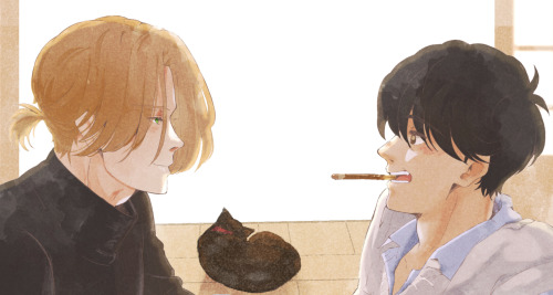 pocky sticks