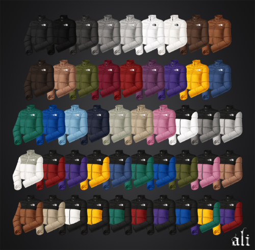 THE NORTH FACE Jacket JAN2025