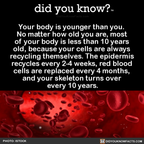 did-you-know:  Your body is younger than you. No matter how old you are, most of