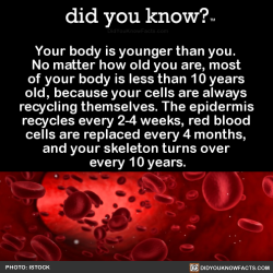 did-you-know:  Your body is younger than