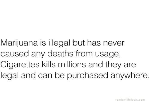 psychofactz:  More facts