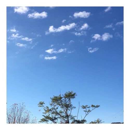 2019.05.13 Puffy Sky (no filter) © 2019 daraus_m - - #nofilter #nofilterneeded #somewheremagazi