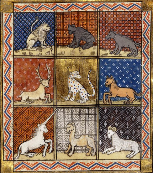 Remarkably realistic for medieval illuminated beasts, which were often fabulous admixtures of fantas