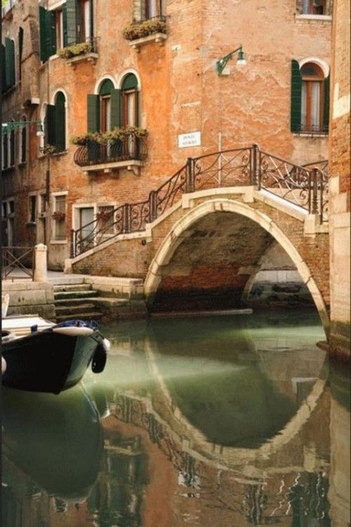 laserenissima7: The bridges of Venice