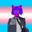 baileyhalfcat