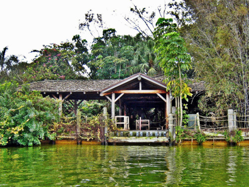 congenitaldisease: Disney’s Discovery Island - A former wildlife attraction in the heart of Disney