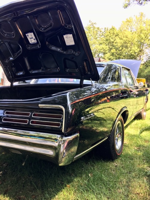 Absolutely immaculate 1967 GTO! Not sure of the engine size as the owner wasn&rsquo;t around, bu