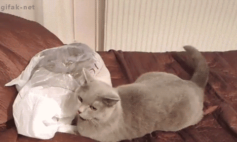 GIF TV