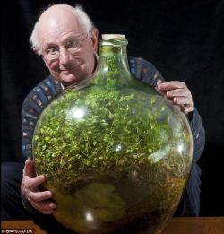 Still going strong: Pensioner David Latimer from Cranleigh, Surrey, with his bottle garden that was first planted 53 years ago and has not been watered since 1972 - yet continues to thrive in its sealed environment.  More info available here - http://www.