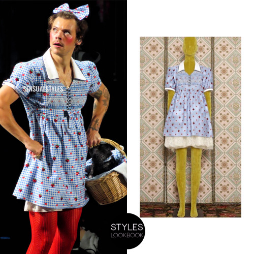 For night one of Harryween, Harry dressed up as Dorothy from The Wizard of Oz. The costume, created 