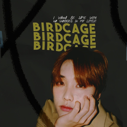 k-sunwoo: #deobirevival ♡ week 5: favorite lyrics— birdcage, jacob bae