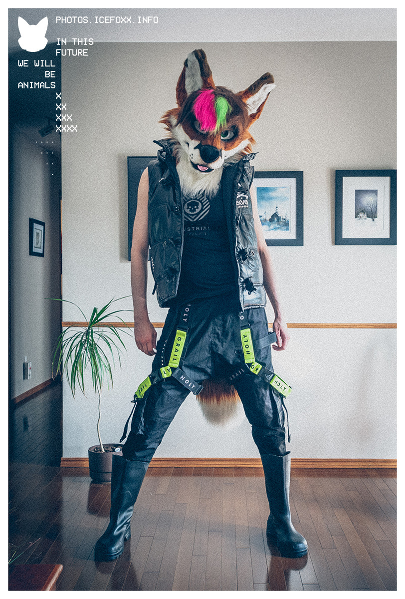 Fursuit Poodling Tumblr