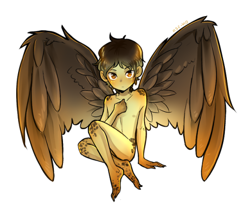 nsf-ko:Wait what kind of blog is this again? Uhh- well have some chibi avian!Lance C: