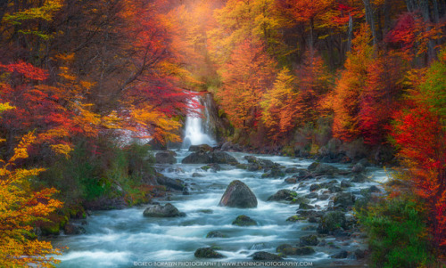 drxgonfly: The Colorful Flow and The Fall (by Greg Boratyn) Photographer’s Website | Instagram