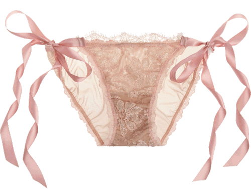 transparent-lingerie: Hanky Panky briefs